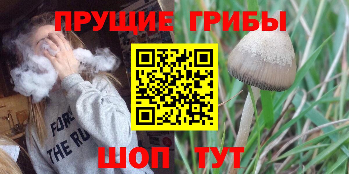 Галлюциногенные грибы MAGIC MUSHROOMS  Вход с VPN  Псилоцибиновые грибы мицелий  Отрадный 